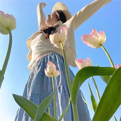 铁观音勇破爆炸党